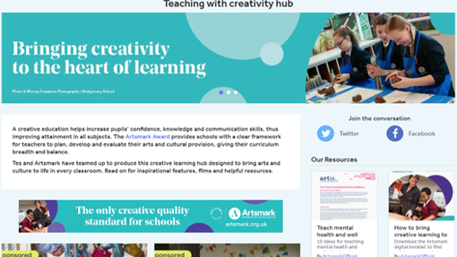 A screen shot of Teaching for Creativity Hub on Tes website